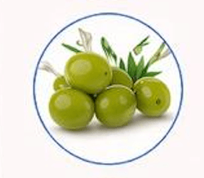 Olive Oil