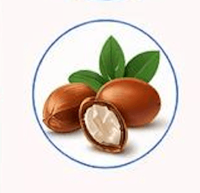 Shea Butter